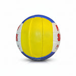 Sagar Volleyball Flash
