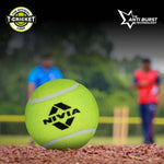 Nivia Heavy Tennis Cricket Ball (Pack of 12 balls)