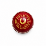 Druzy Leather Ball Club (Red)