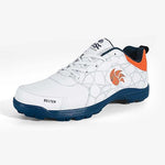 DSC Cricket Belter Shoes in sports planet