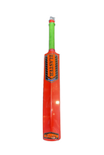 Druzy Cricket Bat Assorted