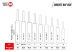Josh No.4 Kashmir Willow Cricket Bats
