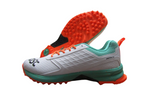 DSC Jaffa 22 Cricket Shoes for Men