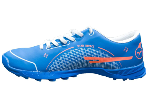 Sega Cricket Shoes March
