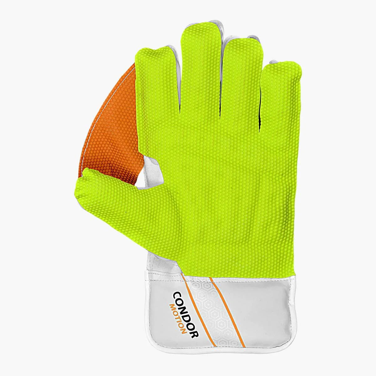 DSC Wicket Keeping Gloves Condor Motion