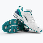 DSC Drifter Cricket Shoes for Men