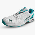 DSC Drifter Cricket Shoes for Men