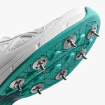 DSC Drifter Cricket Shoes for Men