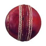 True Test Cricket Premium Leather Ball