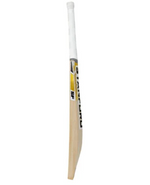SF Cricket Bat Kashmir Willow Gold Edition SH