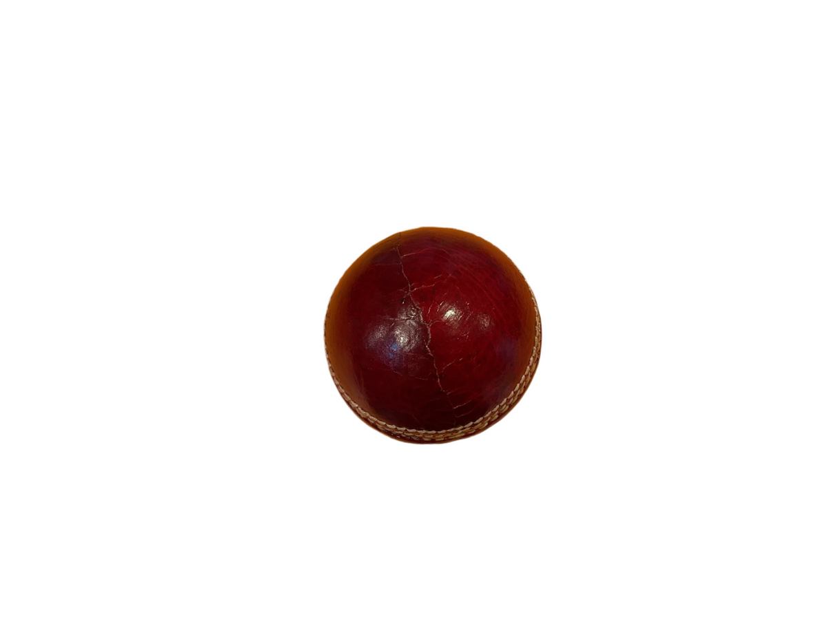 Cricket Ball Leather Test