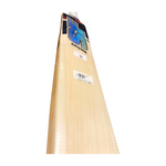 SF Nurtured Crown English Willow Cricket Bat