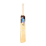 SF Nurtured Crown English Willow Cricket Bat
