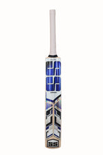 SS Master 100 SH lightweight Kashmir willow cricket bat with premium handle and sleek blade design.