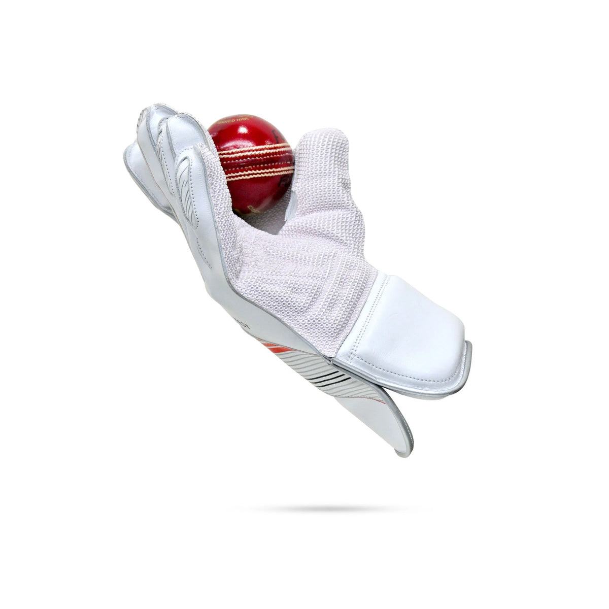 Sf Test Wicket Keeping Gloves