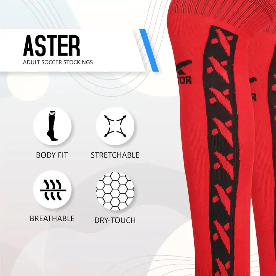 Vector-X Cotton Stocking Aster