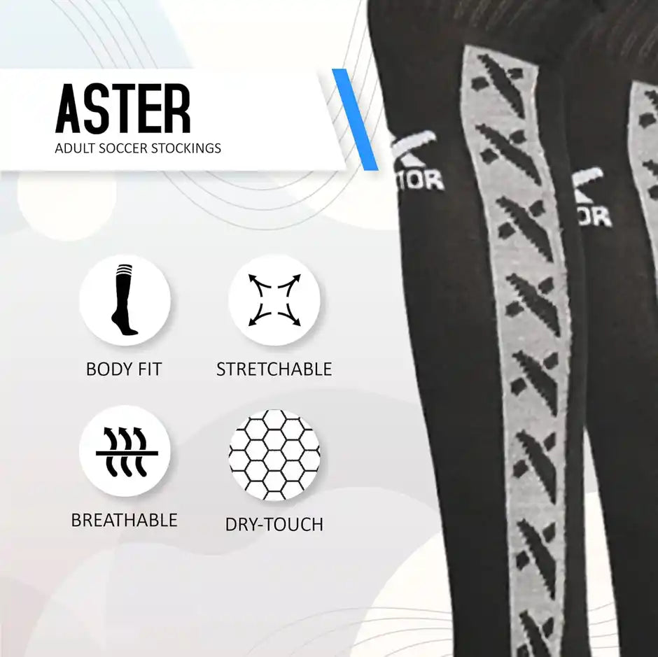 Vector-X Cotton Stocking Aster