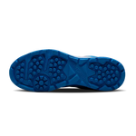 Hundred Pitch Force Cricket Shoes