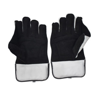 SF Wicket Keeping Gloves College