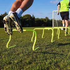 Agility Hurdle No.15