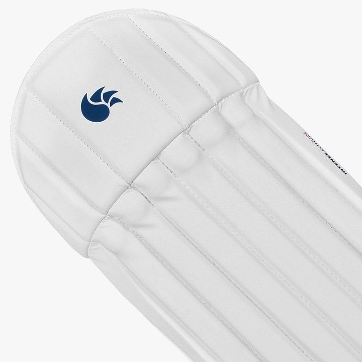 DSC Intense Attitude Wicket Keeping Leg Guard