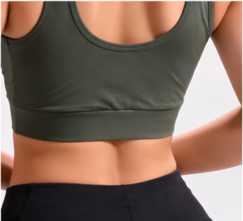 Steylo Sports Bra STY-13