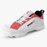 DSC Cricket Shoes Rigor X