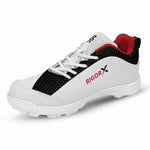 DSC Cricket Shoes Rigor X