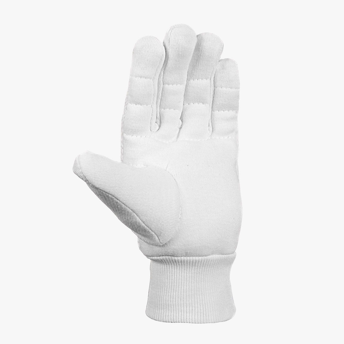 DSC Surge Inner Wicket Keeping Gloves