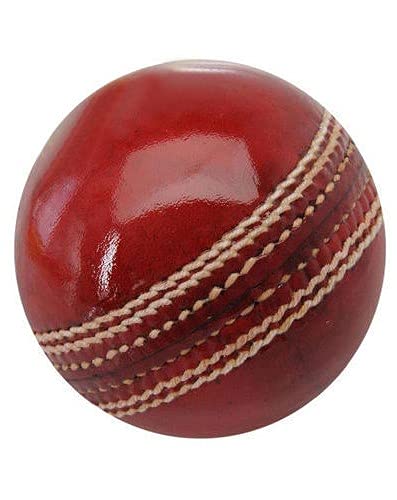 True Test Cricket Premium Leather Ball